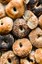 bagels.jpeg