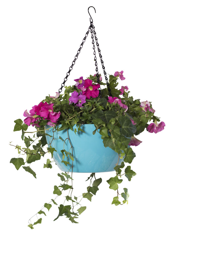 hanging flower basket.jpg