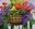 Moss-Hanging-Basket-1.jpg